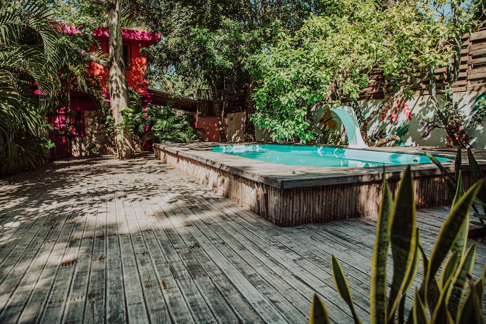 La Negrita Hotel - Adults Only