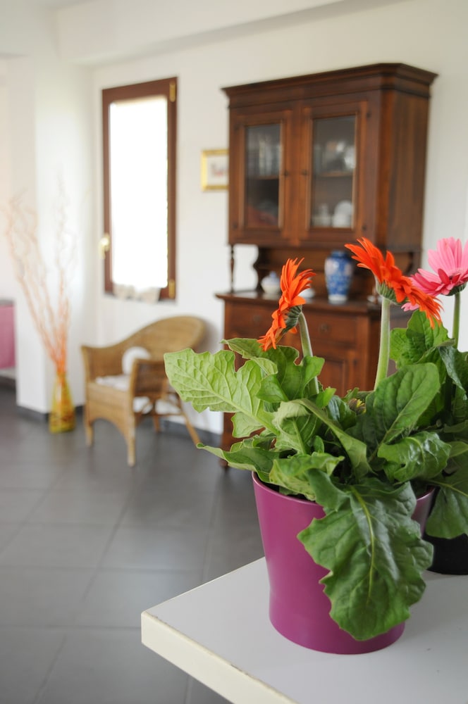 La Circumetnea B&B