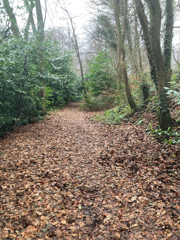 Lurgan Road Luxury Retreat in Banbridge