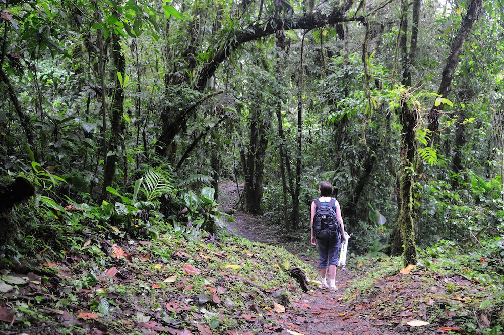 Arenal Observatory Lodge & Trails 96