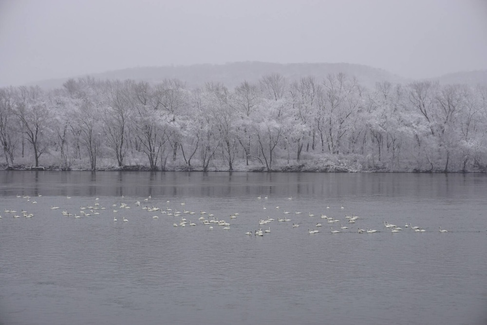 Susquehanna River House