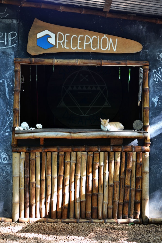 Dreamsea Surf Camp