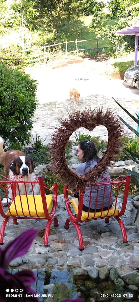 Photo 44