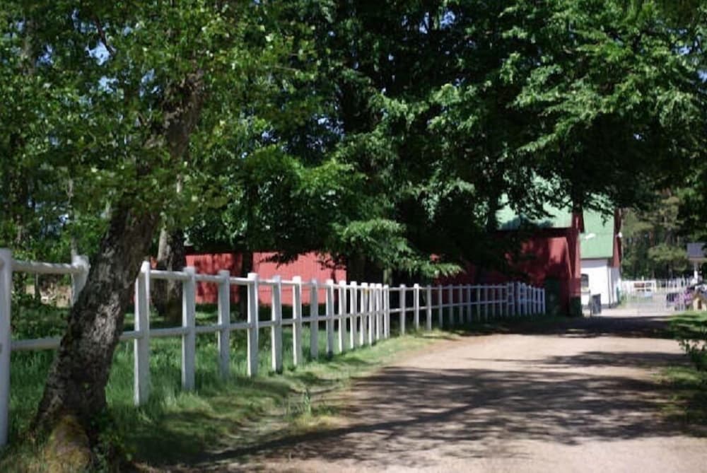 Photo 24