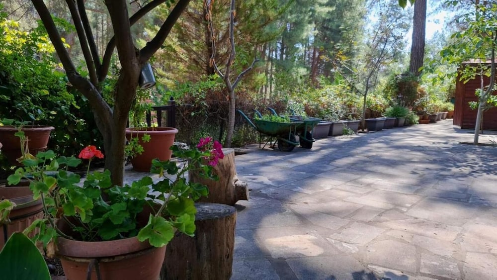 Charming Villa in Moniatis, Cyprus - Private Pool & Garden