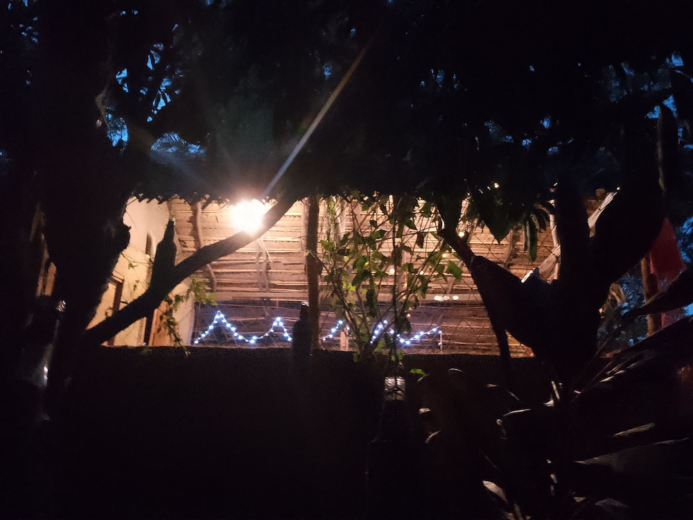 Photo 33