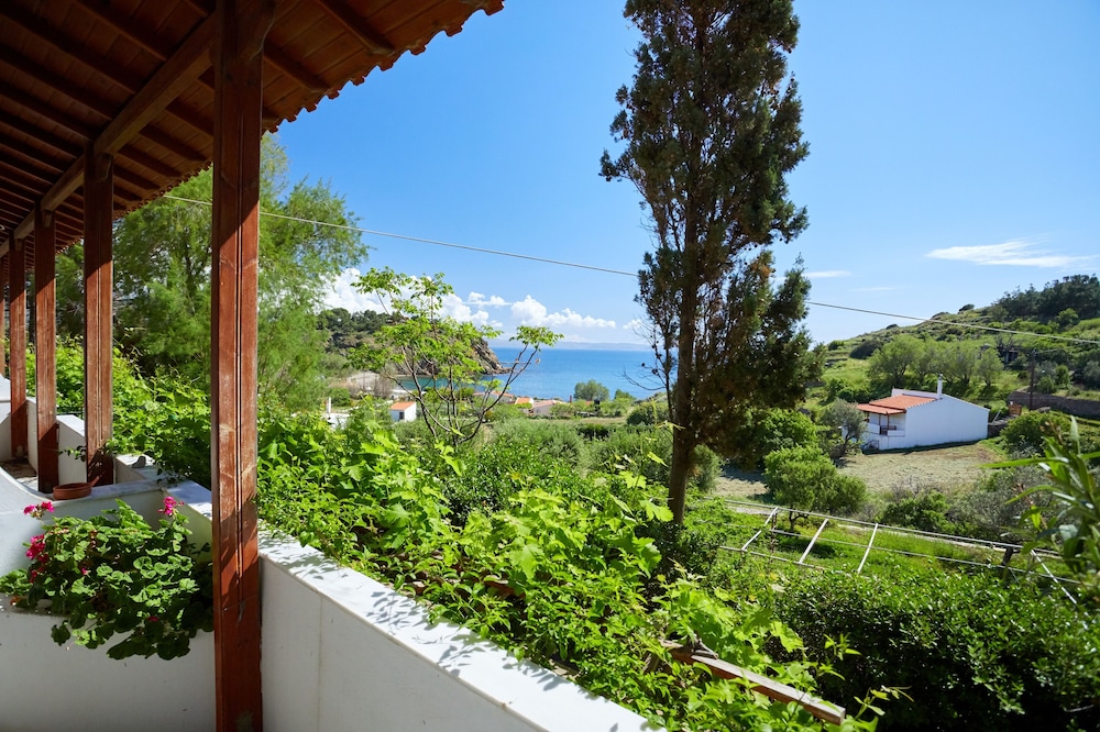Zorbas Volissos Apartments Chios