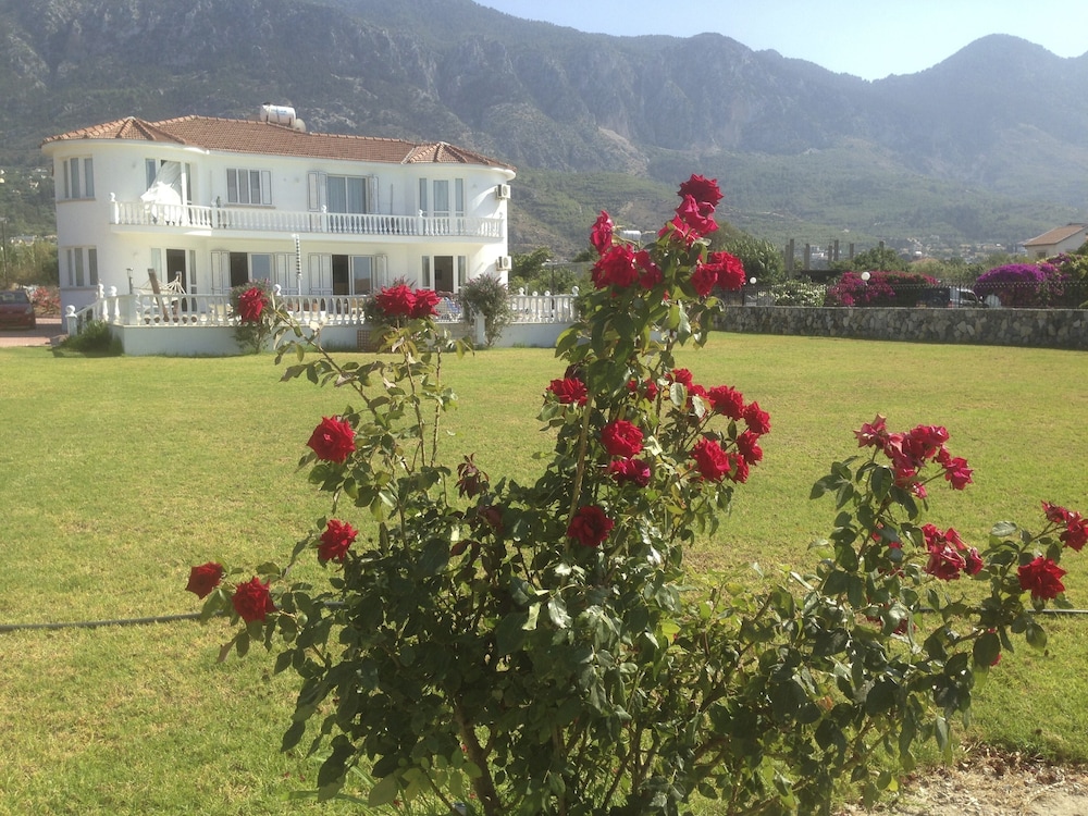 Villa - Sleeps 14 - Private Pool - Cinema Room