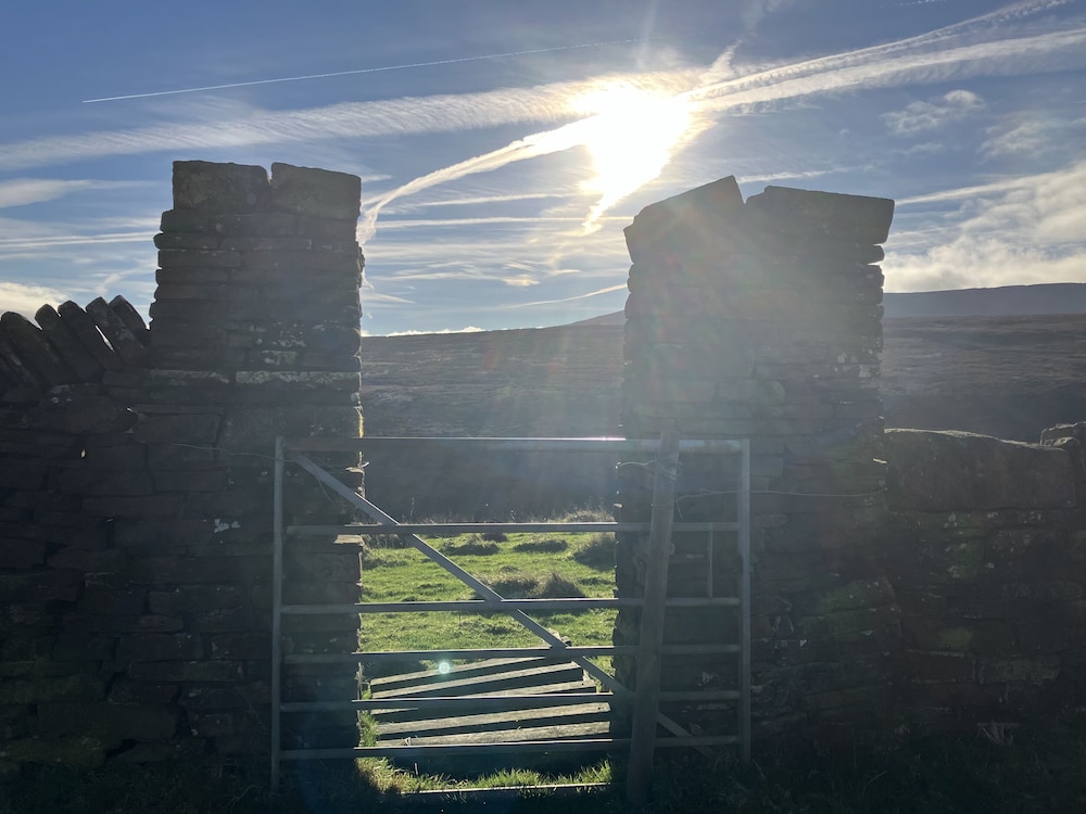 The Shearer's Hut