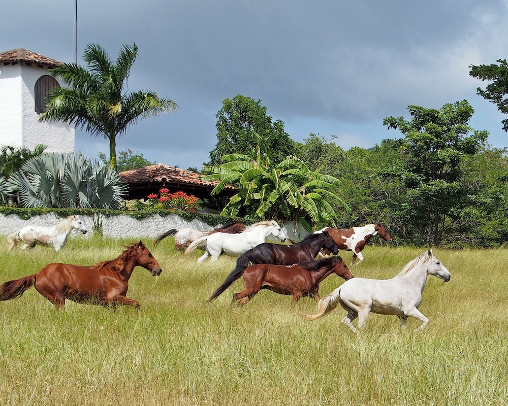 Rancho Chilamate Guest Ranch