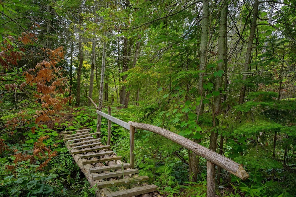 Nature Lovers Retreat log Home - L il Ranch