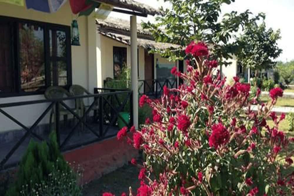 Wildlife Adventure Resort