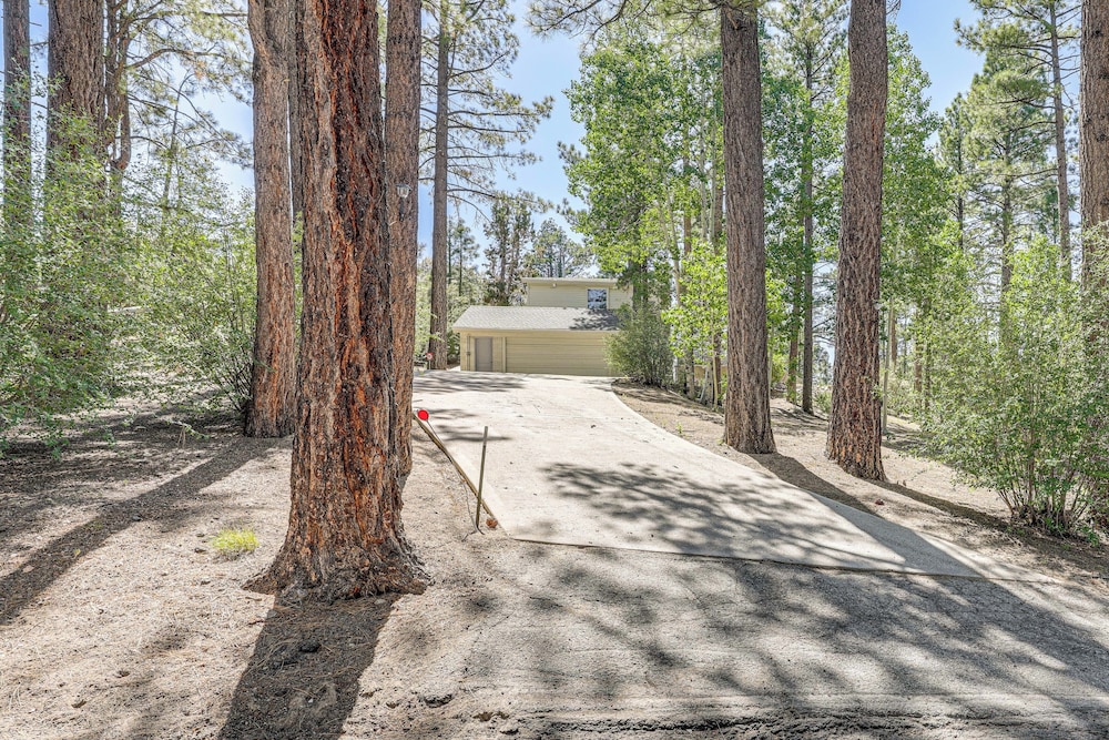 Trail Access & Snow Hill On-site: Big Bear Gem