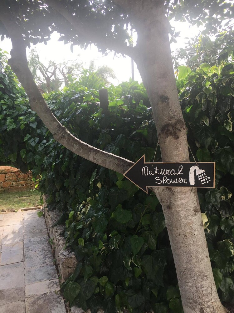 Bed&Breakfast Villa Mamma Grazia, photo 56