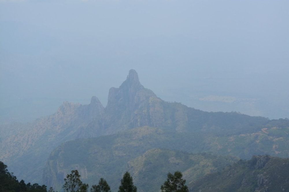 Paradise Peak Cottage view 4