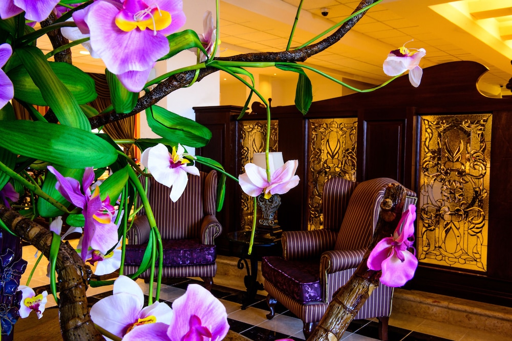 Campeche Vacations - Hotel Plaza Campeche - Property Image 3