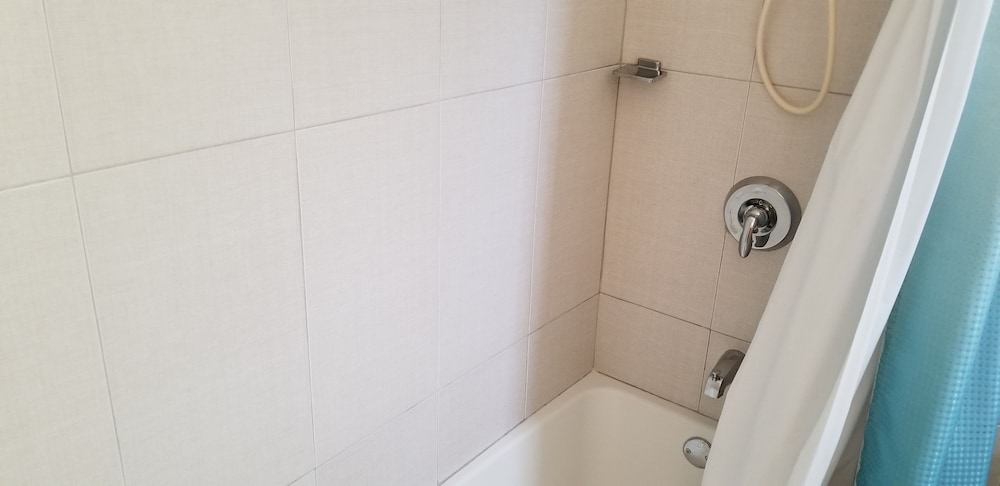 New Kingston Guest Apartment at Eight
