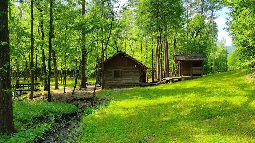 Bean Creek Cabins view 4