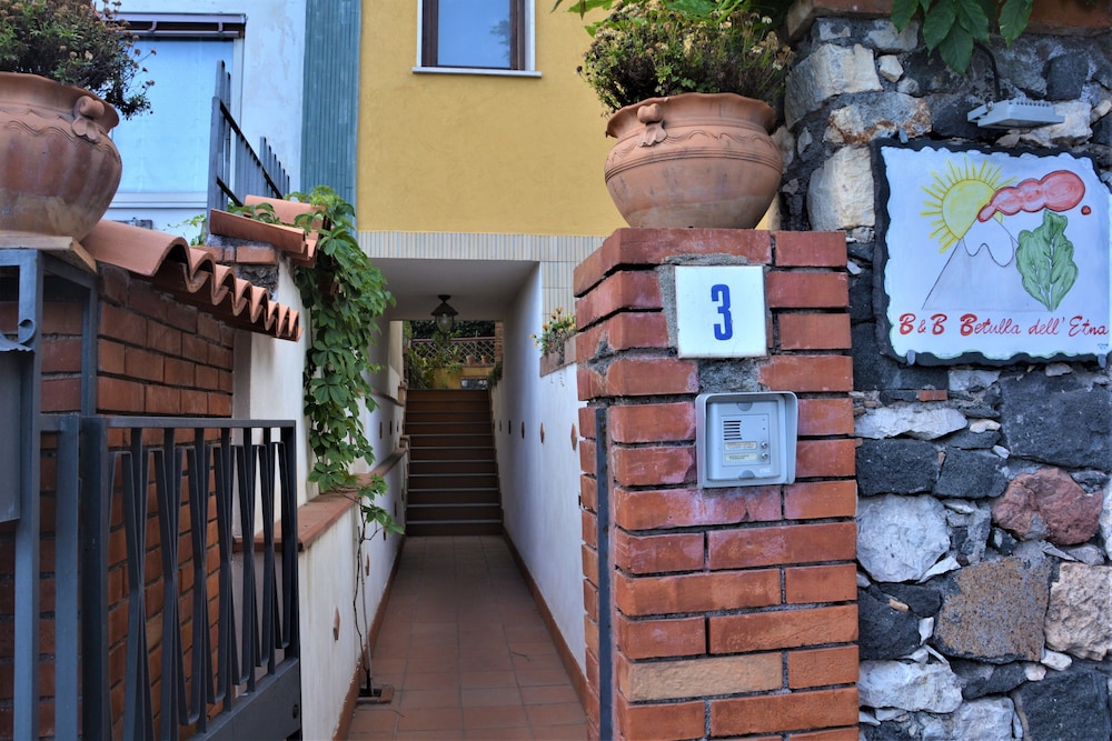 Betulla dell'Etna