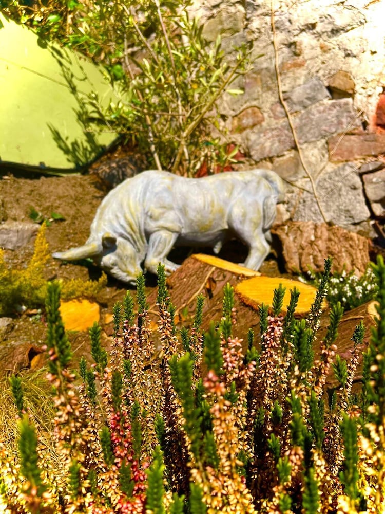 Bull Hotel