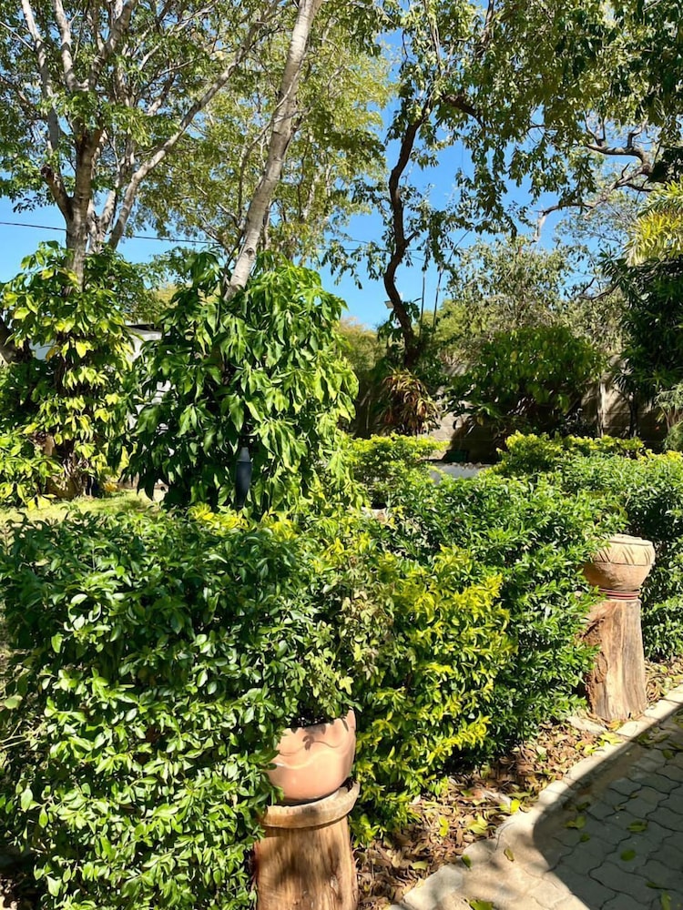 Beulah Court Vineyard Guest House