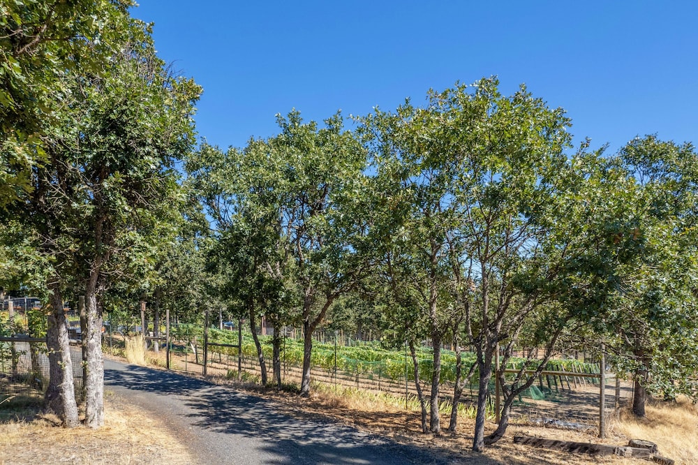 Happenstance Vineyards 2 Bedroom Home