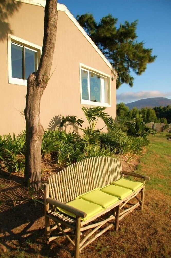 African Queen Guesthouse view 5
