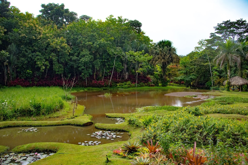 Macaw Lodge