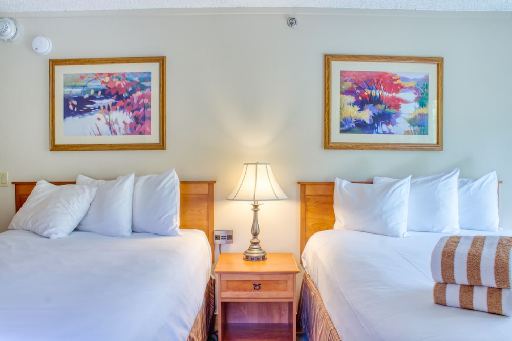 The Grand Lodge by Traverse Hospitality (No Resort Fees)