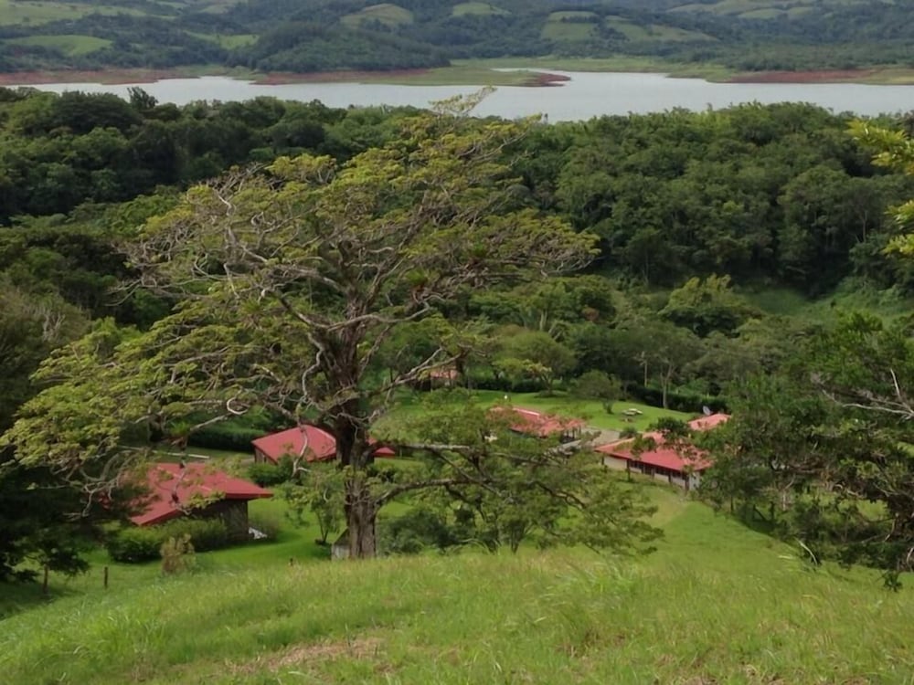 Green Village