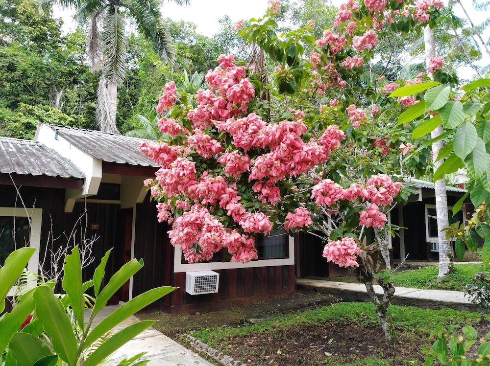 Ceiba Tops Lodge