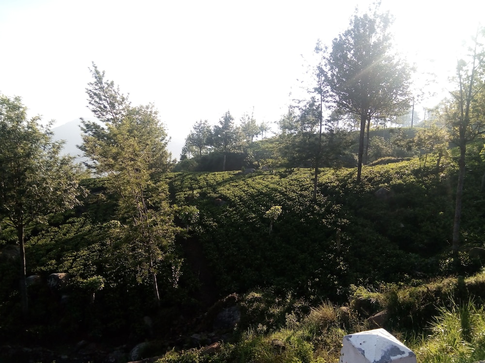 Adisham Village Home