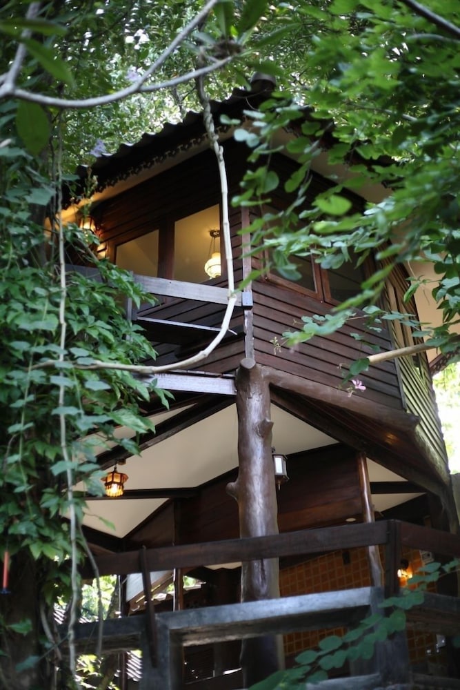 Viva Chiang Mai