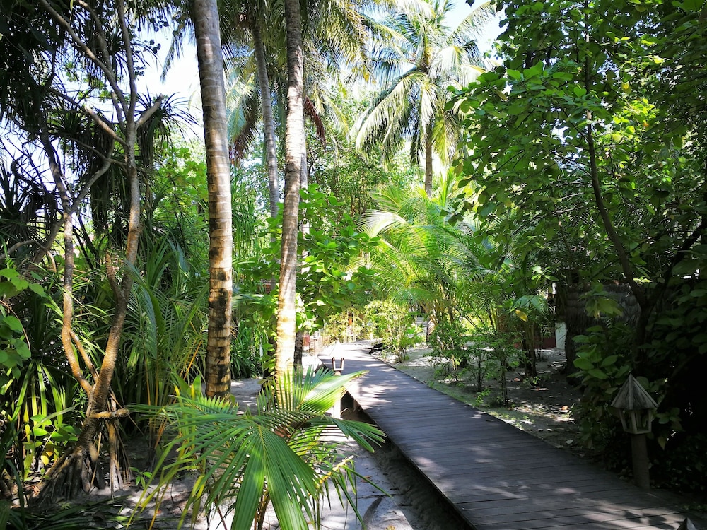 Gangehi Island Resort