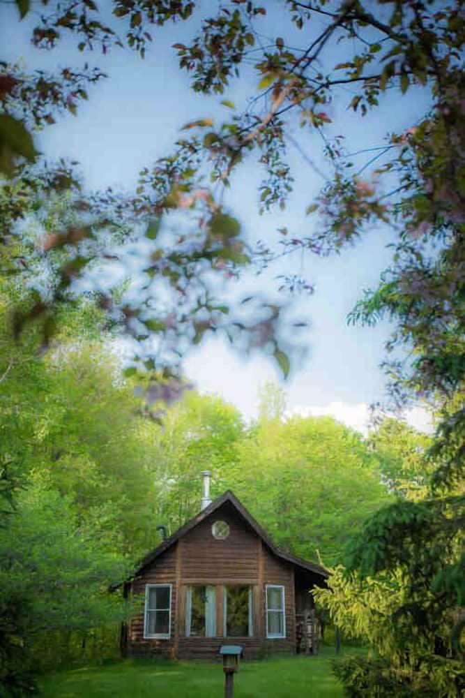 Shire In The Woods