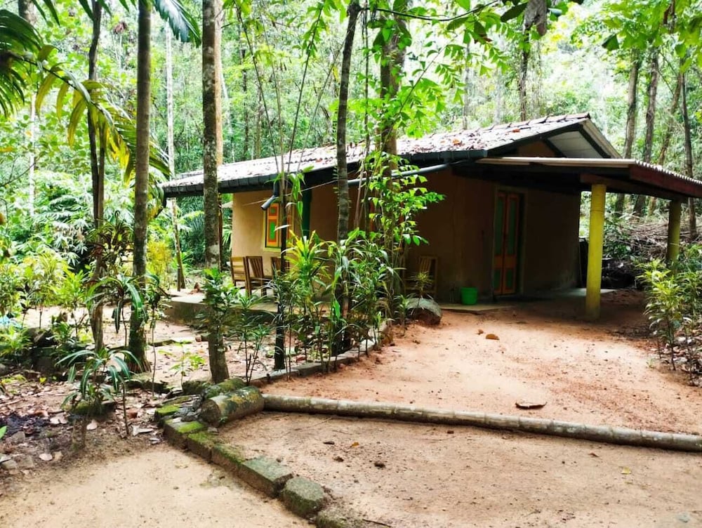 Makeliya Jungle & Waterfall Tour
