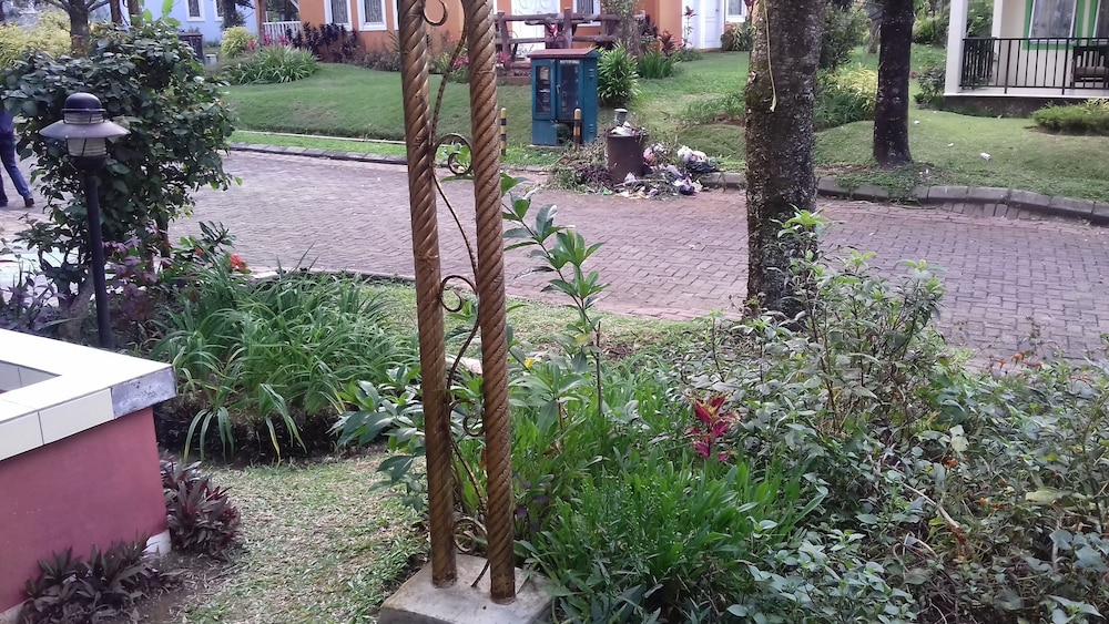 Photo 42