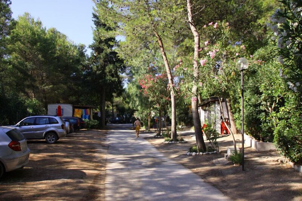Photo 47