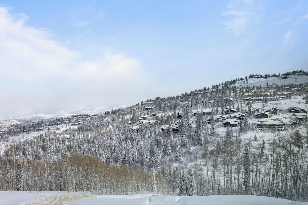 Argent at Deer Valley Resort - Three Bedroom Deluxe #203 3 Condo