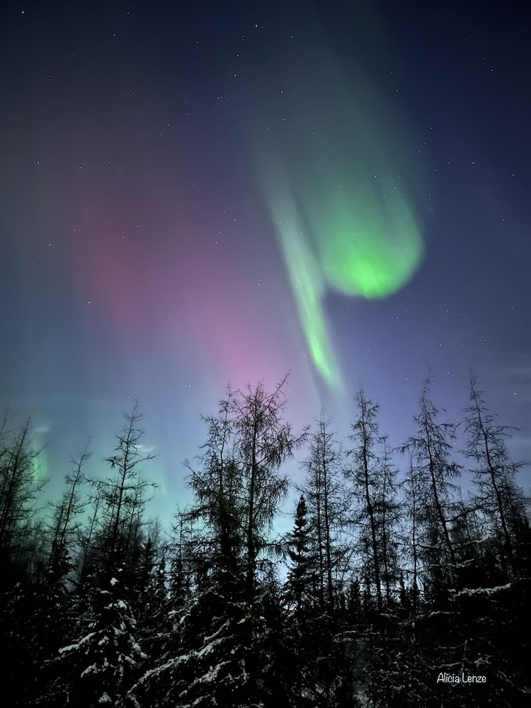 Fairbanks Vacations - Moose Tracks B  B - Property Image 5