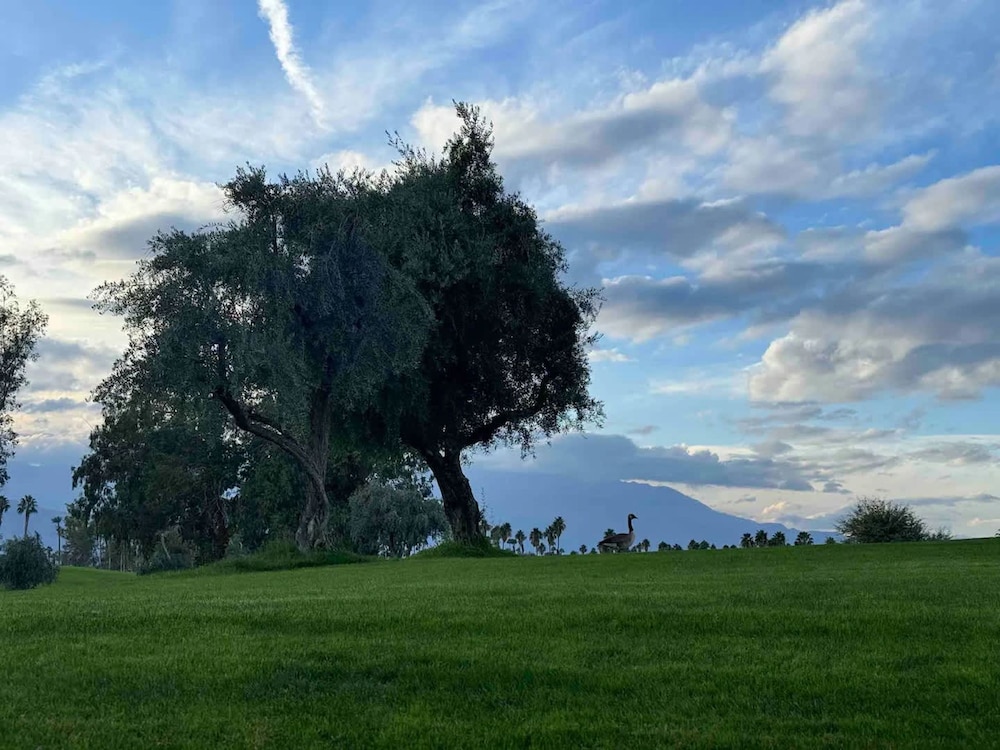Fairway-view 3 Bedroom Condo in Palm Desert