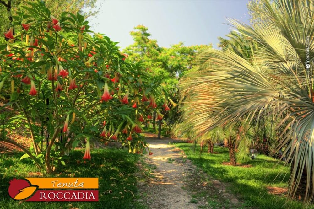 Tenuta di Roccadia