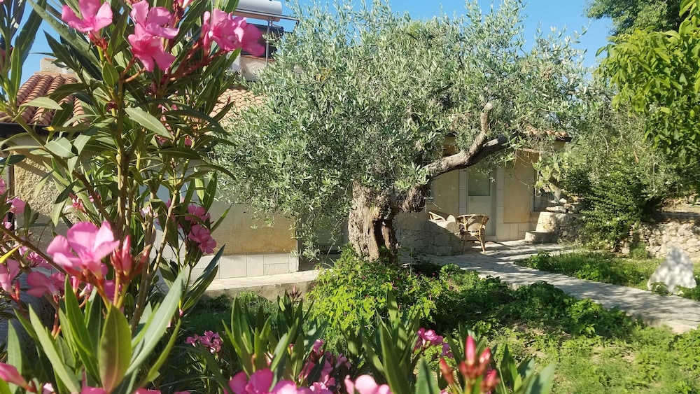 Neeton Noto Bed & Breakfast view 5