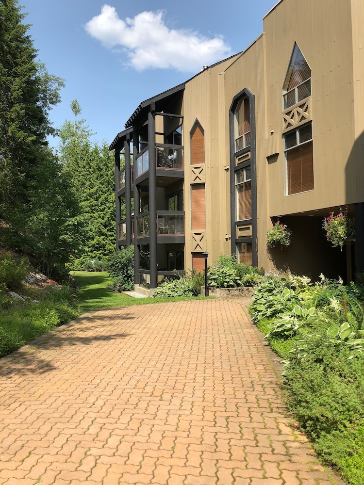 The Ironwood - Image 1