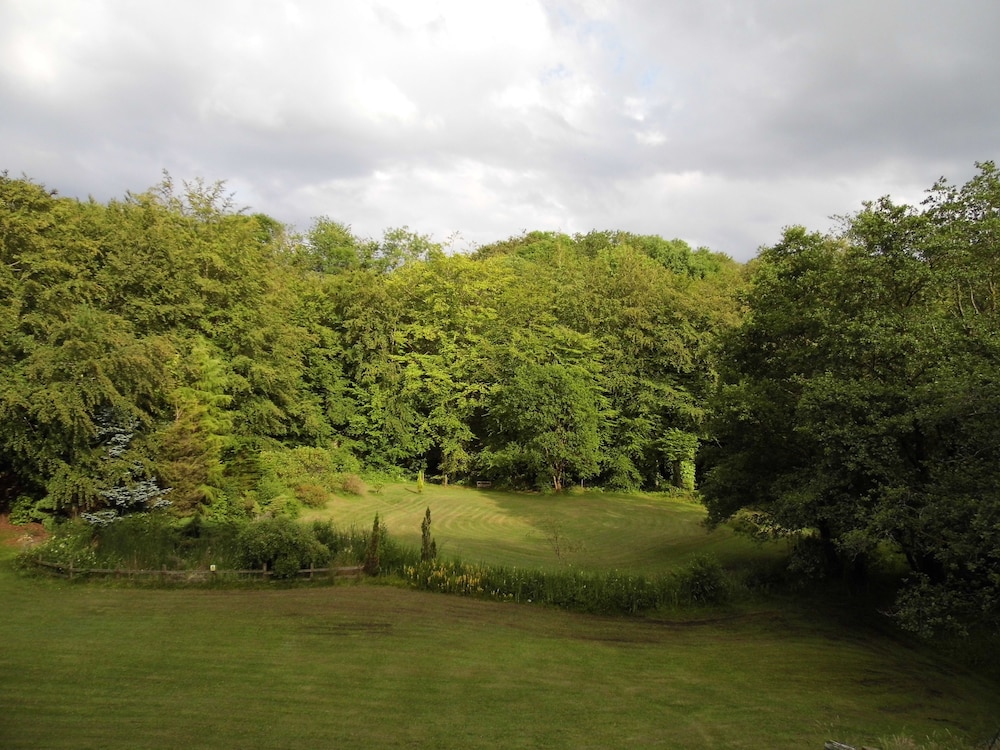 Photo 45