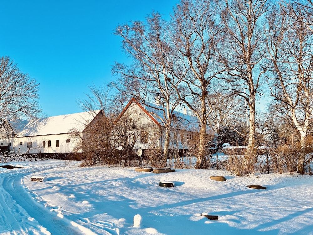 Photo 47