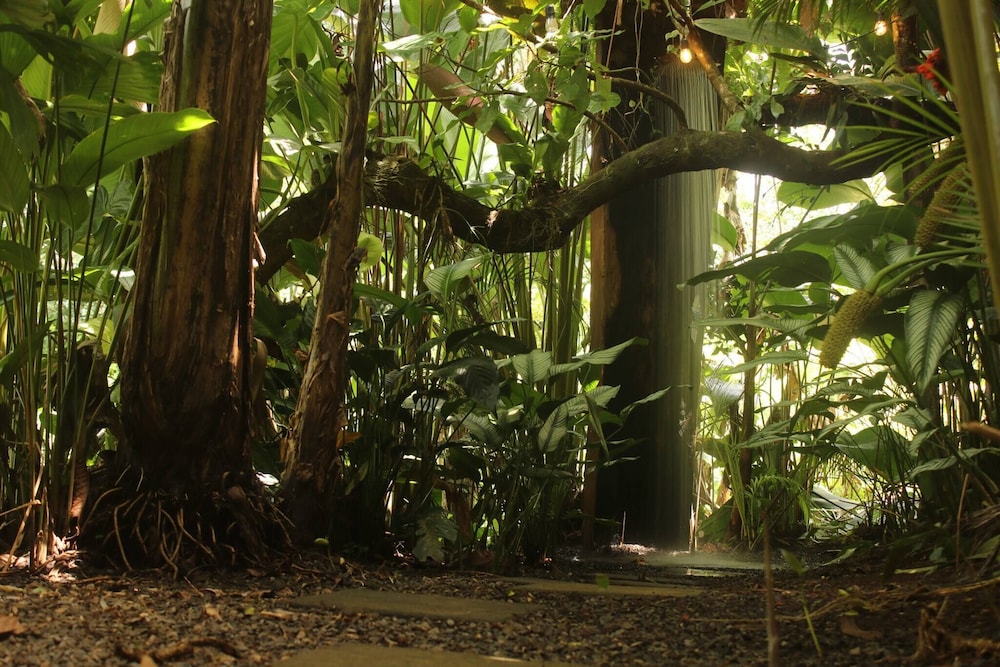 Cabaña Luculuc Garden & Forest