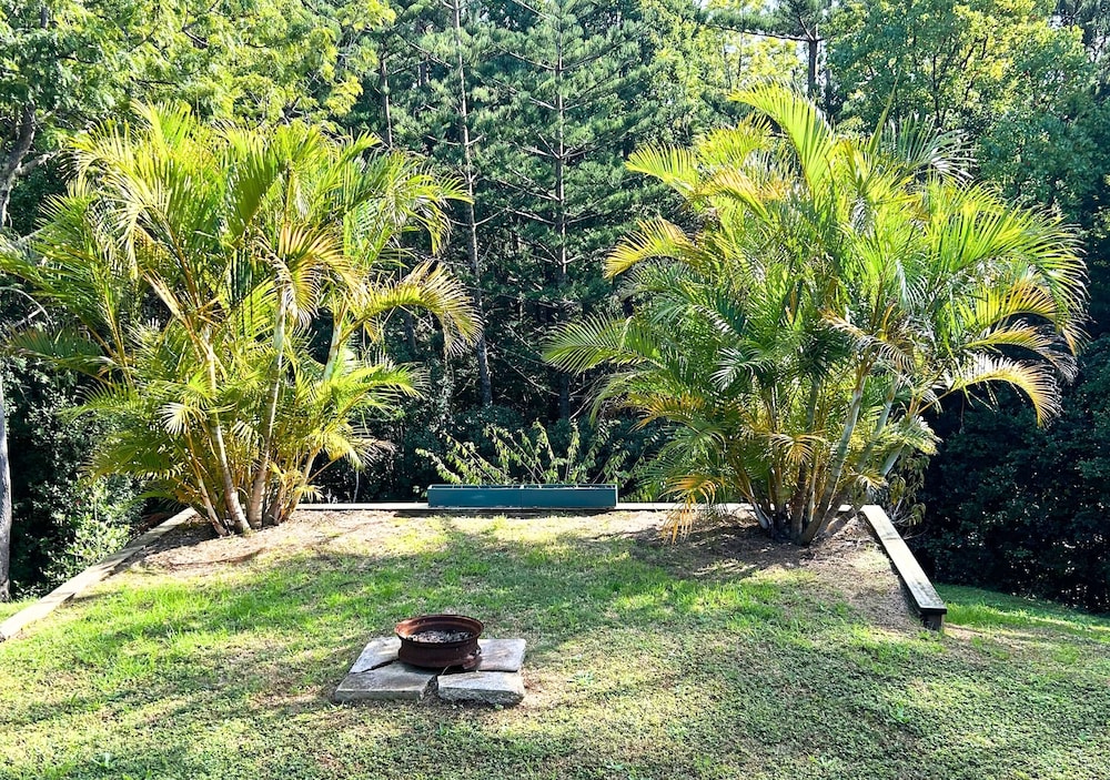 The Palms view 5