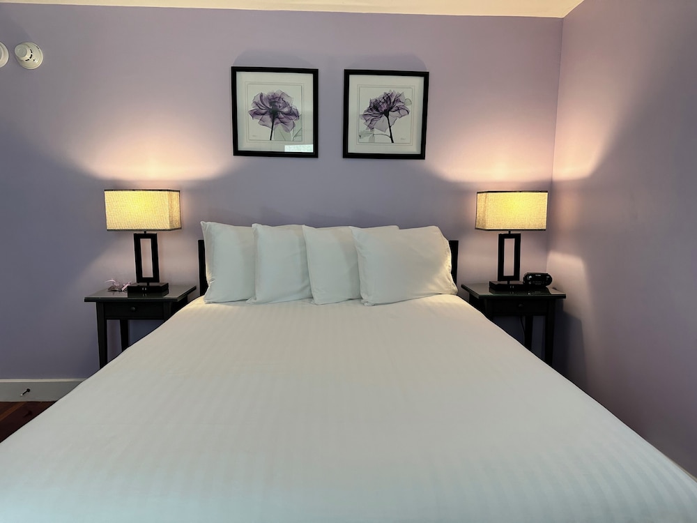 Dragonfly Guest House