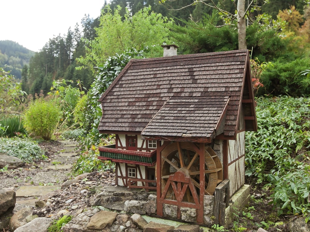 Photo 25